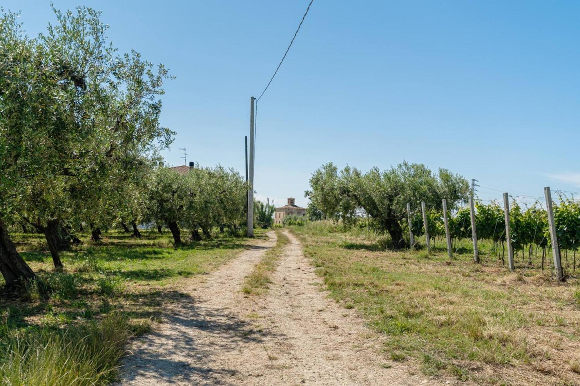 Villa Turin - Yourplace Abruzzo Torino di Sangro Exterior foto